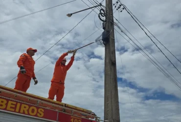 Resgate de animais mobiliza bombeiros em Confresa e Alto Araguaia