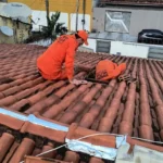 Resgate de gatos mobiliza bombeiros em MT