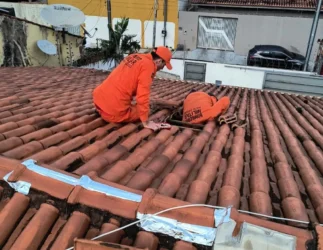 Resgate de gatos mobiliza bombeiros em MT