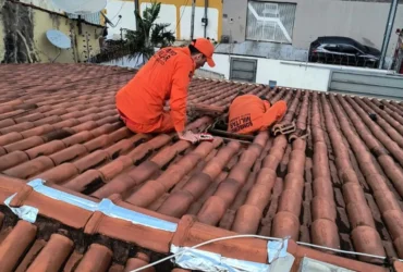 Resgate de gatos mobiliza bombeiros em MT