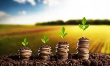 Crédito rural empresarial cresce 7% e totaliza R$ 354,4 bilhões no Plano Safra