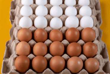 Diferença de preços entre ovos brancos e vermelhos supera 40% em março