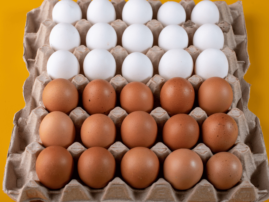 Diferença de preços entre ovos brancos e vermelhos supera 40% em março