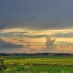 El Niño volta ao radar e clima instável ameaça safras de soja e milho no Brasil