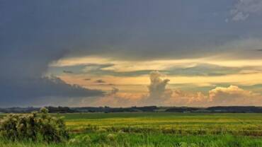 El Niño em alerta: clima instável ameaça safras de soja e milho no Brasil