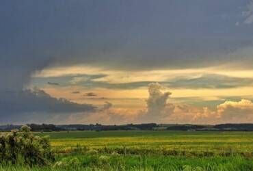 El Niño em alerta: clima instável ameaça safras de soja e milho no Brasil