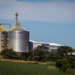 Estudo aponta mais de 1,2 mil oportunidades internacionais para Mato Grosso e reforça potencial de agregação de valor