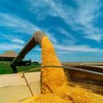 Etanol de milho ganha destaque e Mato Grosso se consolida como o maior produtor de biocombustível