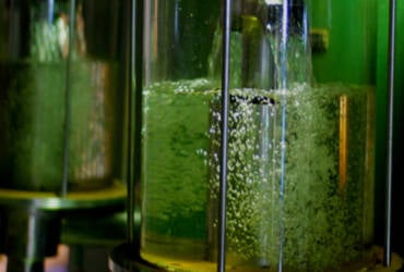 Etanol hidratado e anidro recuam mais de 3% no mercado paulista na última semana de fevereiro