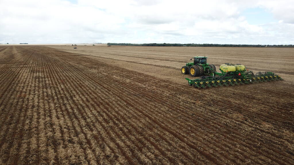 Excesso de chuvas preocupa produtores e impacta plantio do milho em Mato Grosso