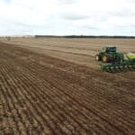 Excesso de chuvas preocupa produtores e impacta plantio do milho em Mato Grosso