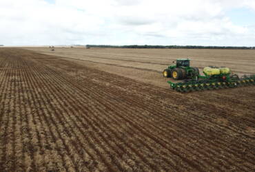 Excesso de chuvas preocupa produtores e impacta plantio do milho em Mato Grosso