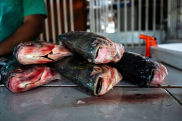 Cuiabá abre inscrições para a Feira Peixe Santo 2026; prazo encerra nesta terça-feira