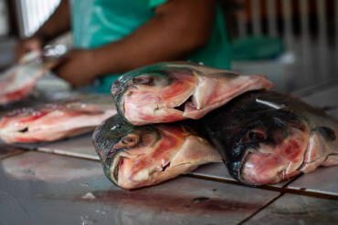 Feira Peixe Santo 2026: Cuiabá abre inscrições para venda de pescado com preço fixado em R$ 25