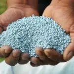 Conflito no Oriente Médio eleva preço da ureia e pressiona custo da safra em Mato Grosso, aponta Imea