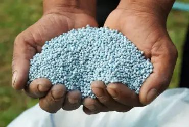 Conflito no Oriente Médio eleva preço da ureia e pressiona custo da safra em Mato Grosso, aponta Imea