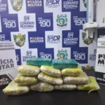 Homem é preso com 7,5 kg de drogas em um ônibus
