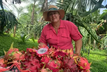 Fotos produtora rural Luciana Estruzani