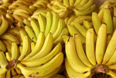 Frutas ficam mais baratas nas Ceasas em fevereiro, com banana liderando queda de 11,16%