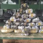 Gefron apreende 16 kg de skunk em Pontes e Lacerda