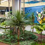 IPVA e ICMS nas lotéricas: Governo de MT assina convênio para ampliar locais de pagamento