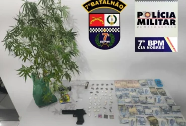 Homem é preso com drogas e pés de maconha em Nobres