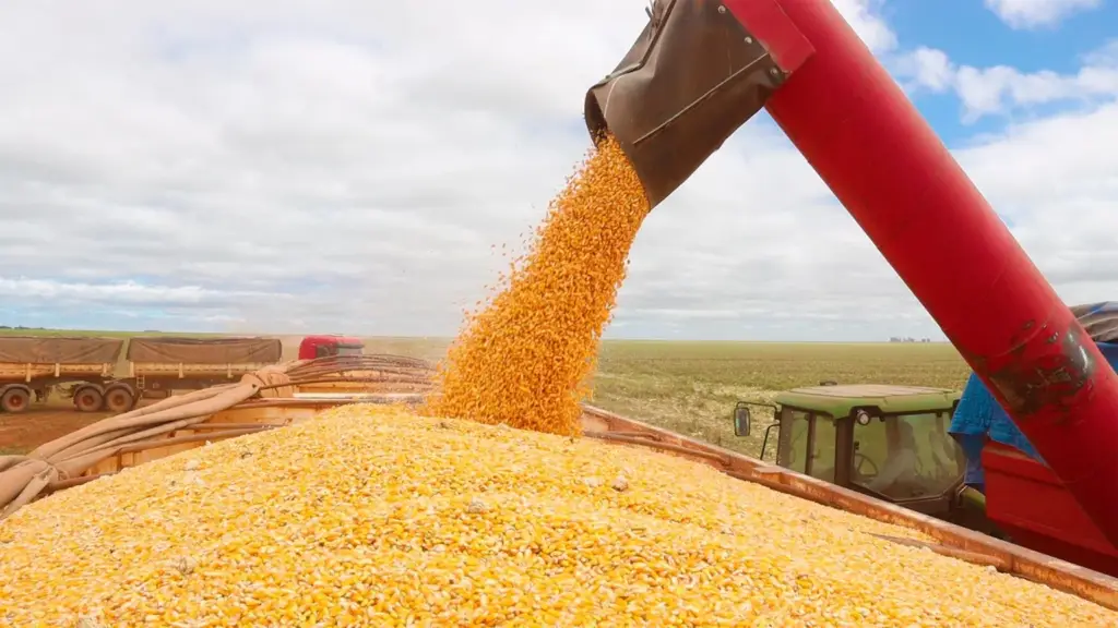 Indicador segue em alta e opera acima dos R$ 70/sc