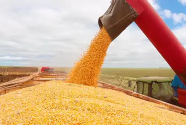 Indicador segue em alta e opera acima dos R$ 70/sc