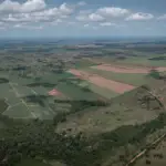 Intermat atualiza dados territoriais em Mato Grosso
