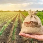 Justiça de MT garante prorrogação de dívidas para produtores rurais após perda de safra