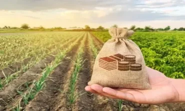 Justiça de MT garante prorrogação de dívidas para produtores rurais após perda de safra