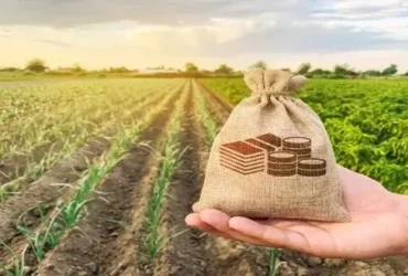 Justiça de MT garante prorrogação de dívidas para produtores rurais após perda de safra