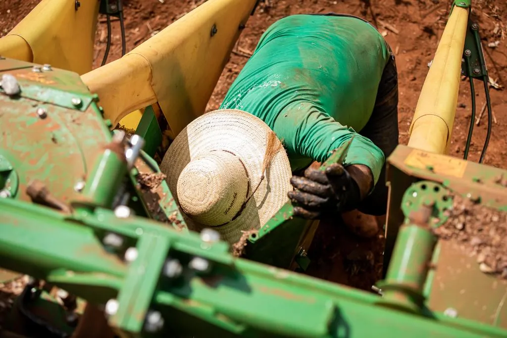 Empregos formais em Mato Grosso crescem 18,7 mil