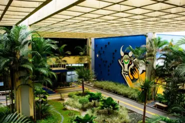 Mato Grosso lidera solvência fiscal no país