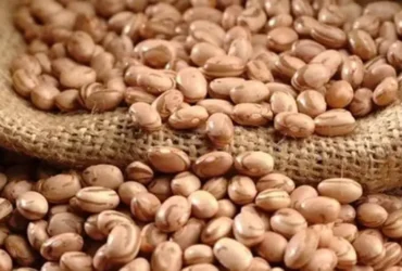 Mercado de feijão registra queda nos preços com demanda enfraquecida