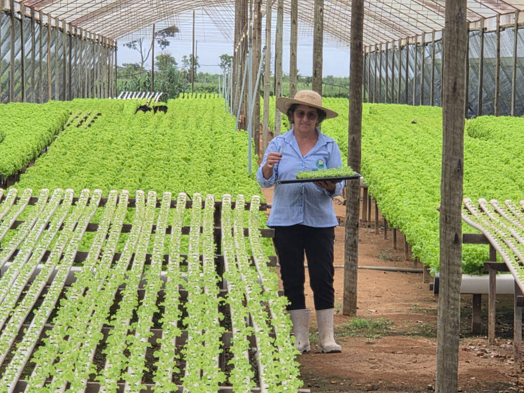 No campo, produtora rural transforma conhecimento em renda e sustenta a família com a produção de hidroponia