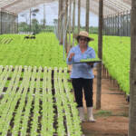 No campo, produtora rural transforma conhecimento em renda e sustenta a família com a produção de hidroponia