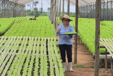 No campo, produtora rural transforma conhecimento em renda e sustenta a família com a produção de hidroponia