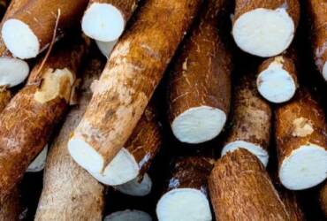 Oferta restrita sustenta alta da mandioca e preços atingem maior nível desde novembro