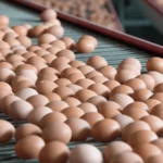 Ovos recuam após primeira queda desde início da Quaresma, mas Semana Santa deve retomar vendas