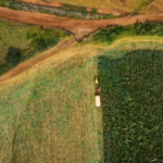 PIB do agronegócio paulista cresce 4% em 2024