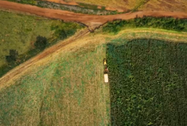 PIB do agronegócio paulista cresce 4% em 2024