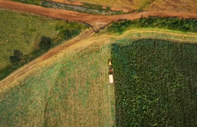 PIB do agronegócio paulista cresce 4% em 2024