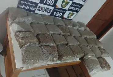 Uma mesa cheia de super maconha apreendida pela PM