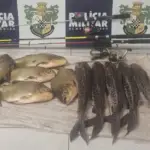 Jaciara: Furto de peixes em projeto educacional termina em prisão na BR
