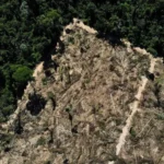 Ministério Público avalia Planos de Suprimento Florestal em Mato Grosso