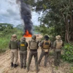 Operação Logging combate garimpo ilegal em Mato Grosso