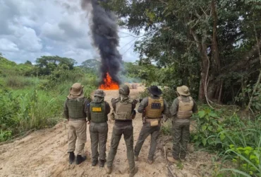 Operação Logging combate garimpo ilegal em Mato Grosso