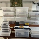 Biólogo é alvo de operação em Cuiabá por manter animais exóticos irregulares