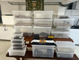 Polícia Civil deflagra operação contra manutenção irregular de animais
